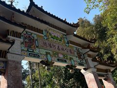 -广州市流溪河国家森林公园