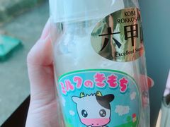 -神户市立六甲山牧场