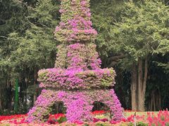 -东南花都花博园