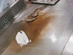 -大神太神·铁板烧(瑞虹天地月亮湾店)