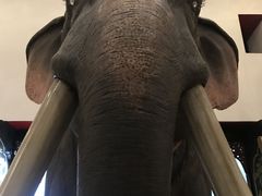 -曼谷国家博物馆
