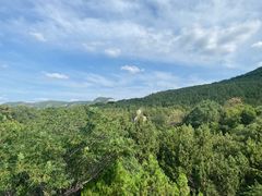 -千佛山风景名胜区