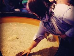 -瑞普利水族馆