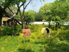 -合肥野生动物园