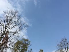 -青城道汤池