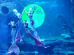 -多彩贵州城极地海洋世界