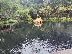 -海口火山口国家地质公园