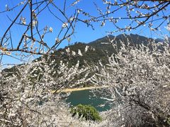 -广州市流溪河国家森林公园