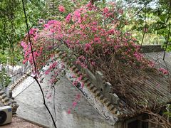 -南沙天后宫景区