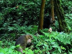 -西岭雪山大飞水景区