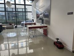 -TESLA 特斯拉(深圳观澜特斯拉直营钣喷中心)