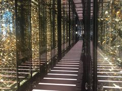 -天龙轩(香港丽思卡尔顿酒店)