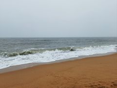 -日照海滨国家森林公园