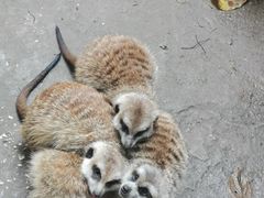 -长鹿旅游休博园