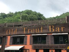 -Local泰莲庭(虹鳟鱼店)