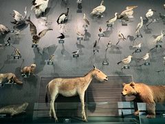 -中国湿地博物馆