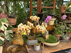 -北马山庄植趣咖啡