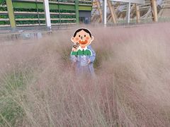 -中国天府农业博览园