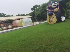 -上海海湾国家森林公园