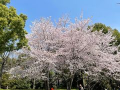 -石湖景区