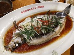 翘嘴鲌鱼-丹江渔村(望京店)