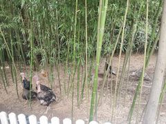 -竹泉村旅游度假区
