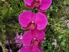 -北京植物园-展览温室