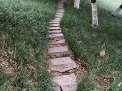 -龙头寺公园