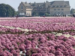 -中国天府农业博览园