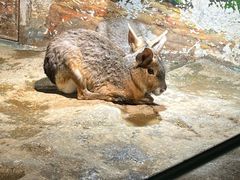 -正佳雨林生态植物园