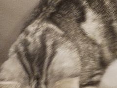 -伽利略剧本探案馆(国贸店)