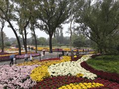 -国家植物园南园