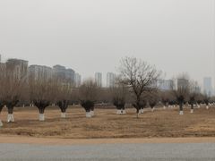 -汉长安城未央宫国家考古遗址公园