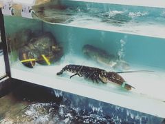 -盒马鲜生(顺义店)