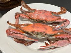 -日月昇渔家菜·海肠捞饭·大连海鲜(星海公园店)