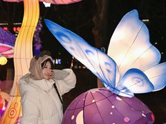 -沈阳奥体冰雪嘉年华