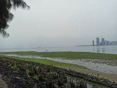 -万绿园