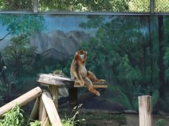 -西安秦岭野生动物园