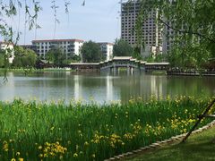 -西海子公园