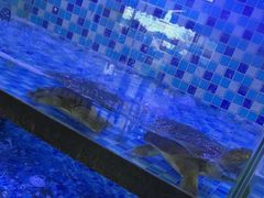 -七的湖·晚芳亭·阳澄湖农家菜·大闸蟹(莲花岛店)