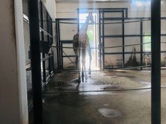 -嘻哈壹笑堂相声茶馆(大儒巷店)