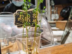 -饵块食光·云南有机手作饵块