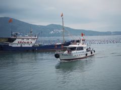 -渔寮风景区