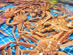 -驻海渔市(置信店)