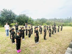-北京梧桐树双语幼儿园
