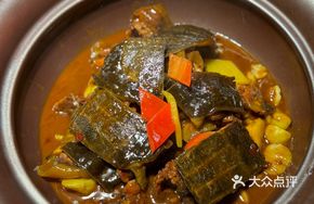 Secret Recipe Turtle Stew
