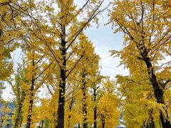 -百林公园-两江幸福广场