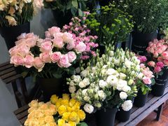 -迦南·甜品蛋糕(传媒店)