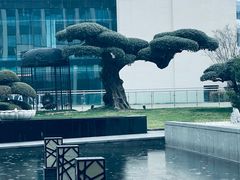-阿纳迪酒店·秘境西餐厅