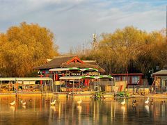 -莲花池公园